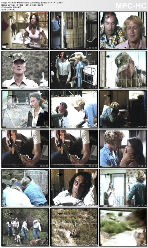 Kotü Köpek Mavisi (Mean Dog Blues) 1978 TRT 2.mkv_thumbs_[2025.07.06_02.00.29].jpg