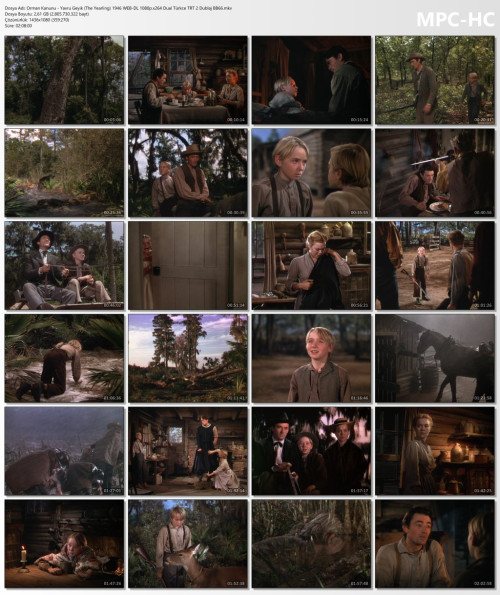 5Dds0.jpeg